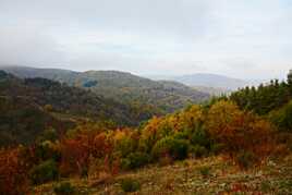 Carte postale d'Ardèche