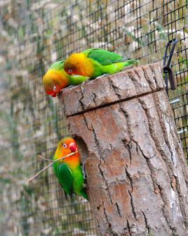 conducteur de travaux