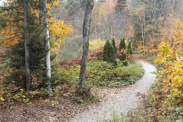 Un sentier en automne