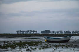 Marée basse