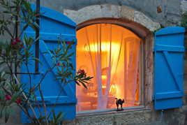 Le chat sur la fenêtre