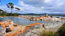 Les rochers oranges de La Bay of Fires