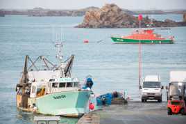 retour de pêche à la coquille st jacques