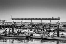 L'embarcadère d'Armona