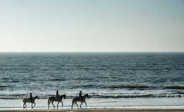 promenade et crustacés