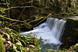 1ère chute avant les cuves