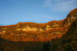 Douceur de l automne