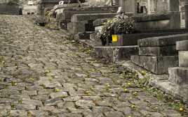 Manger les pissenlits par la racine..