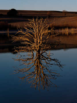 Le lac miroir