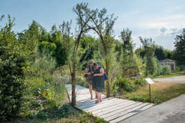 Les dames au chapeau