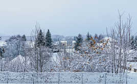 Première neige