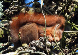 rien de vaut une bonne sieste