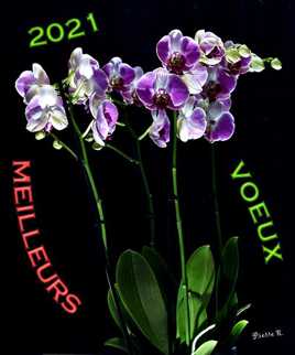 bone année a tous !