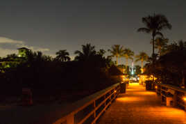 Nuit de Floride