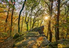 Les  roches qui dansent