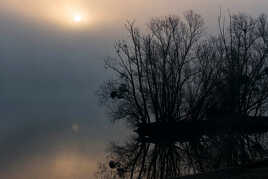 Matin sur la Saône