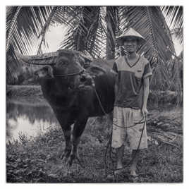 vietnamiese cowboy