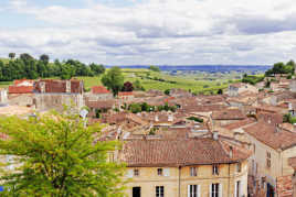 Les toits de St-Emilion