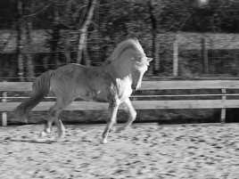 je suis le maître!!