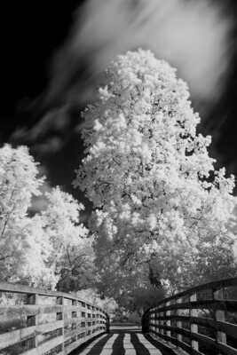 Les chemins de l'IR (2)