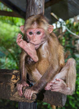 J'prends mon pied...