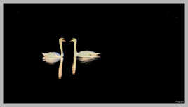 Face a face dans la pénombre