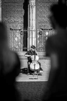 Le violoncelliste de la Cathédrale
