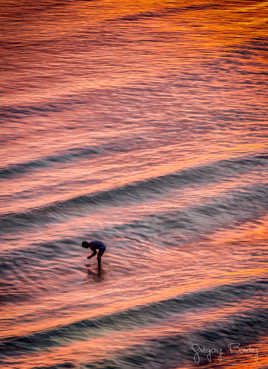 A la recherche de son portable