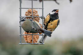 Un diner sous la pluie