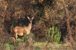 Rencontre