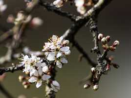 Lumière du printemps