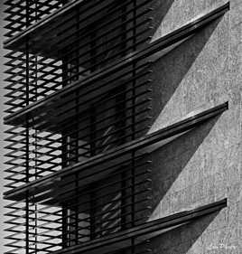 Derrière les grillages.