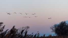 Le ciel de Camargue