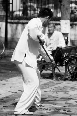 sous l'oeil du maitre