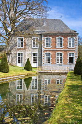 Reflets sur la douve