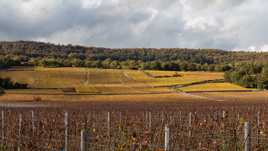 Coteaux de Puligny-Montrachet