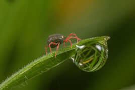 Et après? je redescents?