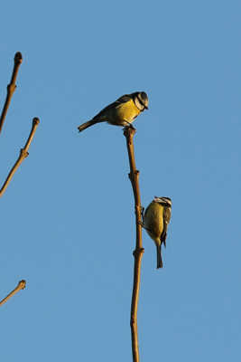 Y'a plus de place la haut !