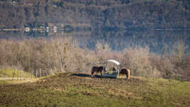 La cantine près du lac