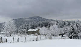 Tout blanc de neige et de givre