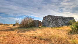 Station 348 "Alligator" de la Luftwaffe