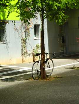 velo