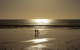 Reflets à Marée Basse