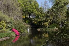 Parc floral d'Apremont