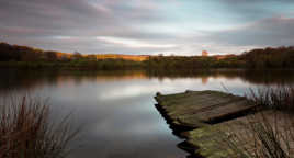 Sur le bord du Lac 2