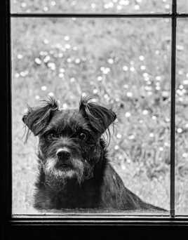 Derrière la porte fenêtre