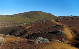 Paysage le long du sentier du Piton de Bert à la Réunion 974