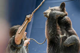 Tu l'as vue celle la?