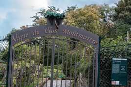 Entrée Vigne du Clos Montmartre