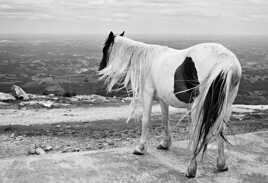 Envie de conquérir le monde